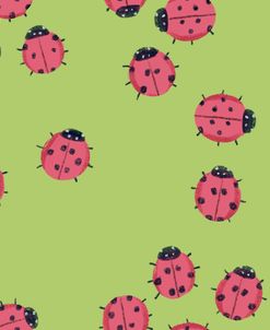 Lady Bug Spring Banaza Repeating