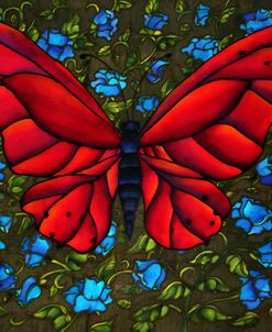 Red On Blue Butterfly