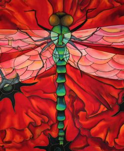 Dragonfly And Poppies