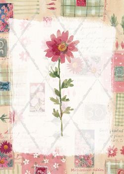 Hope Street Designs