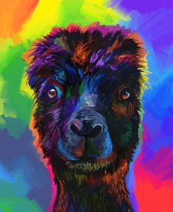 Pop_Art_Alpaca