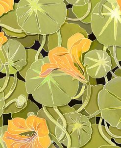 Lily Pads