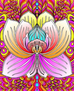 Lotus Flower 2