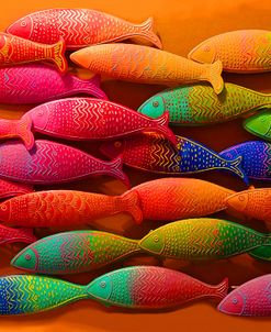 Pop Art Fish School