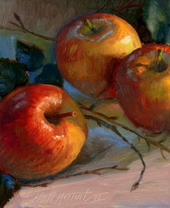 Apples with Branches