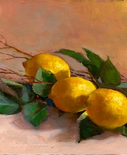 Lemons with Branches #1