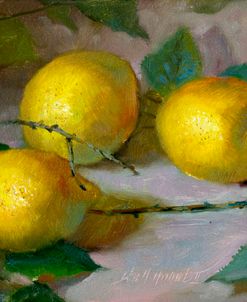 Lemons with Branches #4