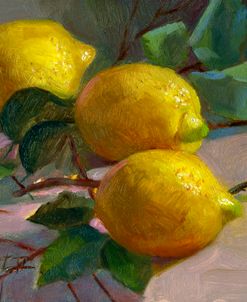Lemons with Branches #2