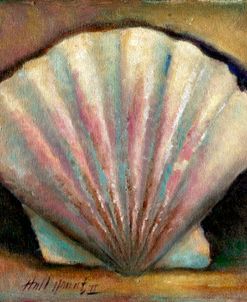 Scallop