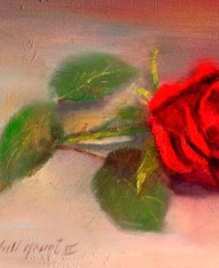 Red Rose on Table