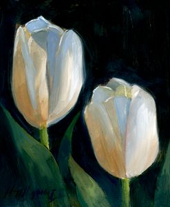 White Tulips