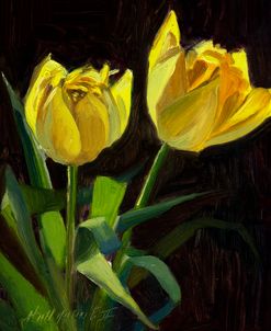 Yellow Tulips