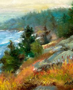 White Head, Monhegan Island, Maine