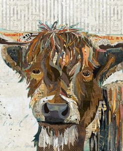 Colorful Highland Cow