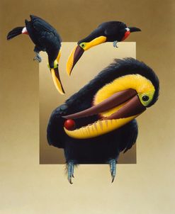 Chestnut-Mandibled Toucans