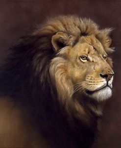 Lion Male