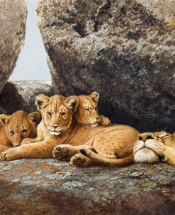 Lioness With Cubs