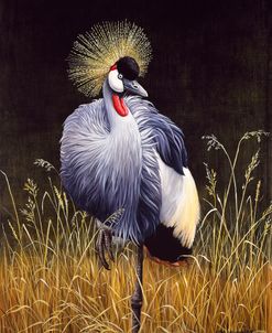 Crowned Crane