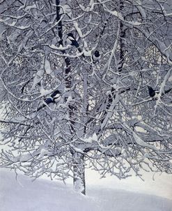 Snow Tree With Magpies