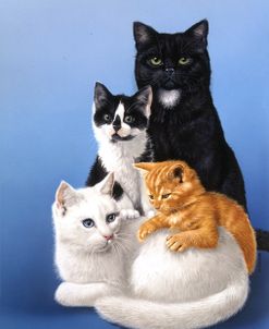 Cat Family