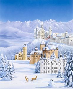 German Castles In Winter