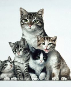 Cat Family