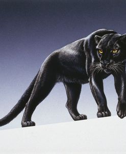 Black Panther