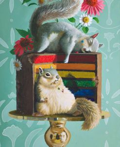 Rainbow Cake Squirrels