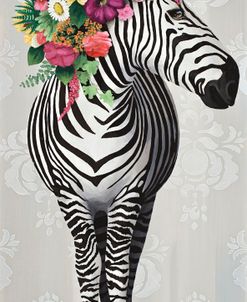 Zebra on Gray