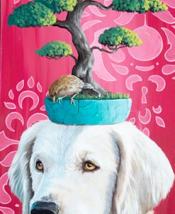 White Lab on Bonsai