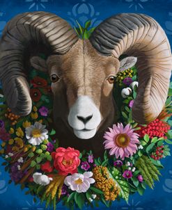 Bighorn Sheep