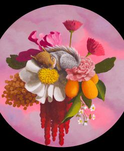 Bright Squirrel Flower Cloud Baby