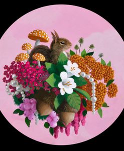 Dark Squirrel Flower Cloud Pink Baby