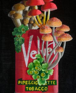 Vintage Velvet Tobacco