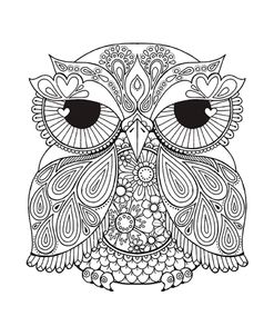 Owl 1