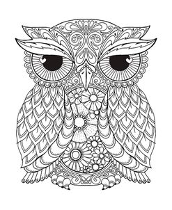 Owl 2