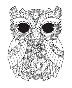 Owl 3