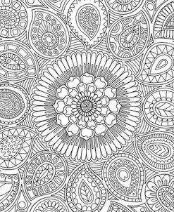 Paisley Mandala