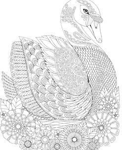 Animals 26