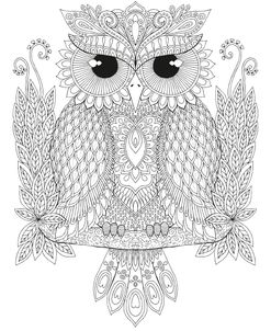 Night Owls 1