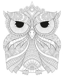Night Owls 4
