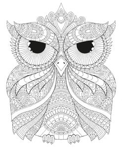 Night Owls 4