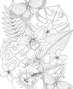 Tropical Paradise 4