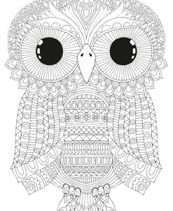 Night Owls 12