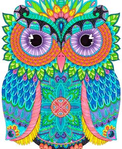 Night Owls 25