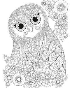 Night Owls 26