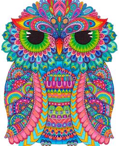 Night Owls 31
