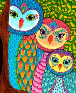 Night Owls 20 – Color