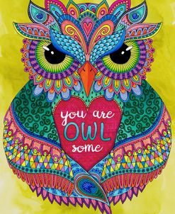 You are Owlsome