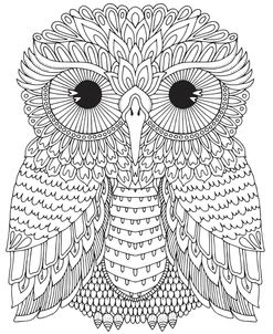 Harrington Owl
